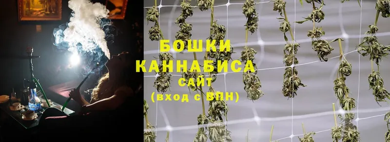 Каннабис OG Kush  blacksprut tor  Ершов 